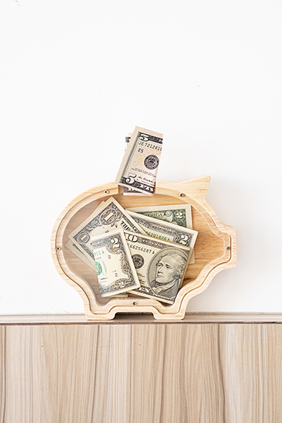 Reserve concepts. Piggy bank with US dollar currency on the shelf.